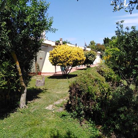 Agriturismo Le Colline Di Capalbio Exterior photo